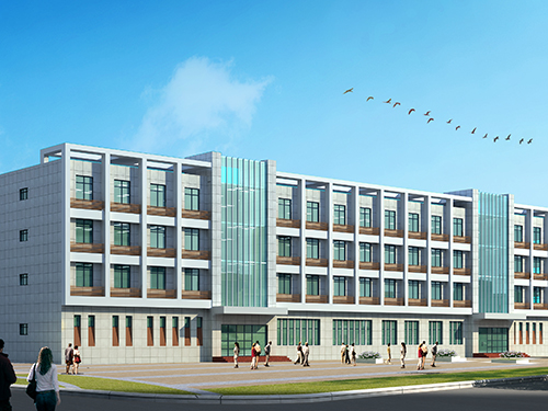 ��ͨ�����ҕ�D